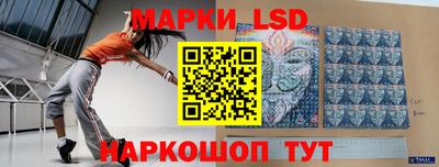ПСИЛОЦИБИНОВЫЕ ГРИБЫ Новозыбков