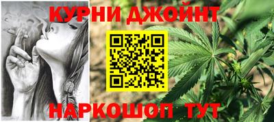 ПСИЛОЦИБИНОВЫЕ ГРИБЫ Новозыбков