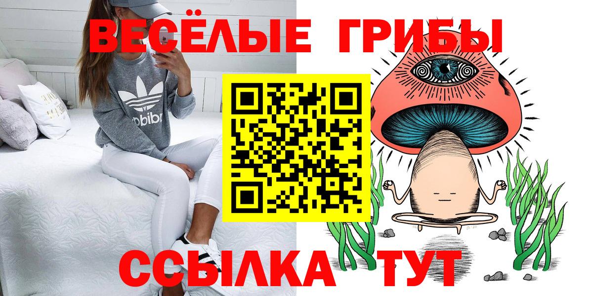 Псилоцибиновые грибы Psilocybine cubensis Юрга